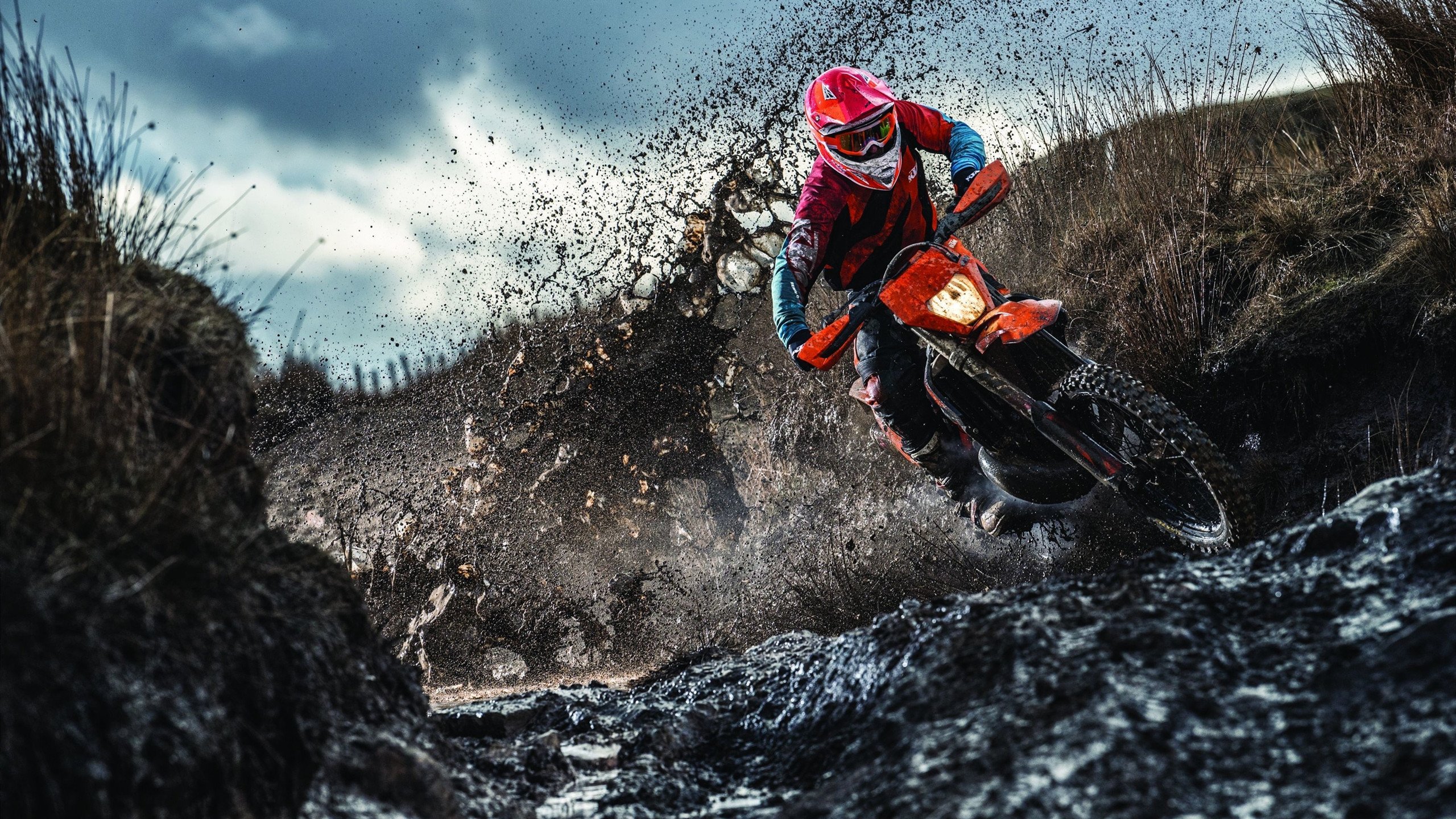 EDG发布职业选手心理健康支持指南,lol职业选手心态